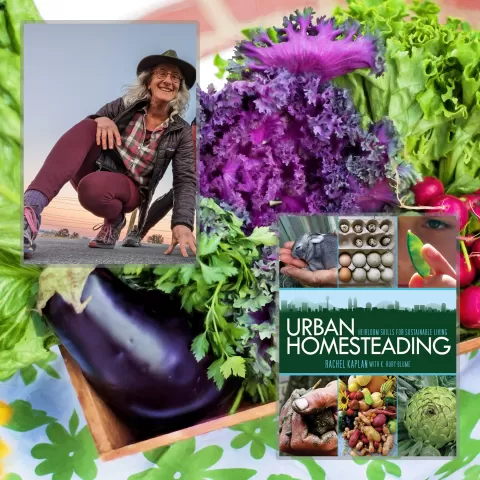 The background is a three-quarter view of a basket of vegetables including an eggplant, lettuce, and radishes. In the foreground to the upper left, surrounded in a gray border is an image of Rachel Kaplan, with the camera pointed up at here.  In the lower right, surrounded by a gray border is an image of the cover of her book, Urban Homesteading.